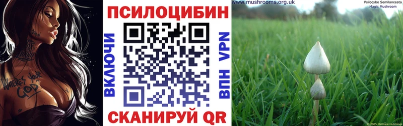 Галлюциногенные грибы Cubensis  Ноябрьск 