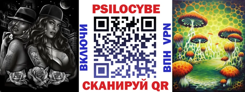 Псилоцибиновые грибы Cubensis Ноябрьск